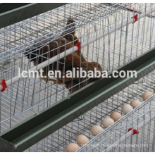 automated hot galvanized layer chicken cages